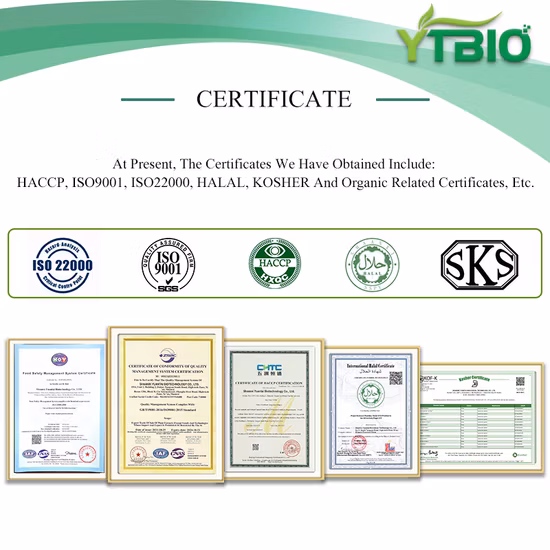 Venta de fosfato de ascorbato de magnesio por fábrica