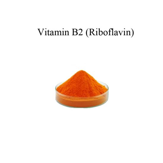 CAS 83-88-5 Fosfato de sodio de riboflavina